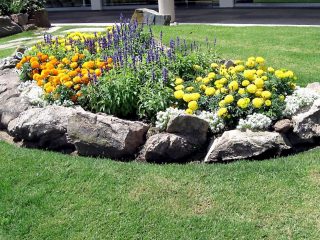 Decoración de macizos de flores en la casa de campo con tus propias manos + foto.