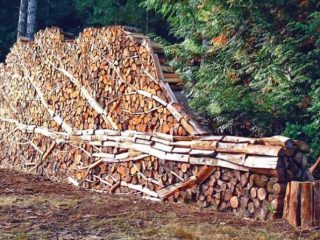 Perolehan kayu api untuk keperluan sendiri