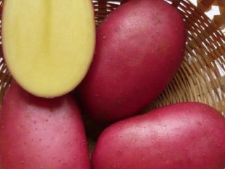 Potatoes Merlot