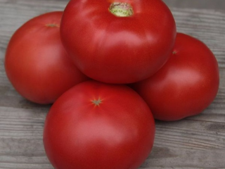 Tomato Kibo F1