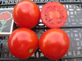 Tomato Solerosso: ciri dan perihalan varieti