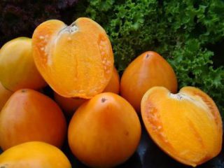 Mel de tomate salvo: comentários, fotos, rendimento