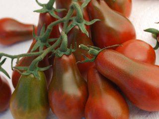 Tomato Pear: charakteristika a opis odrody