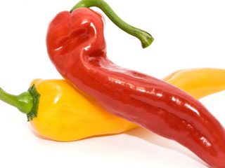 Paprika Ramiro: pestovanie a starostlivosť