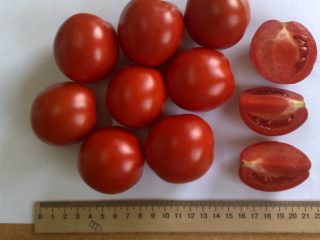 Tomate PerfectPil F1