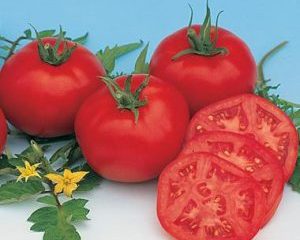 Tomato Moskvich: reviews, photos