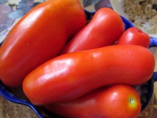 Tomate Casanova: características y descripción de la variedad.