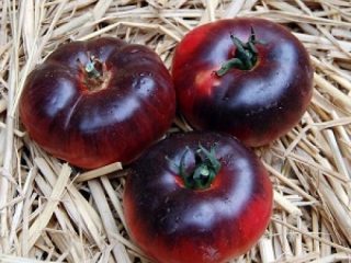 Tomato Amethyst Jewel: charakteristika a popis odrody