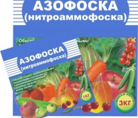 Azofoska fertilizer: application, composition