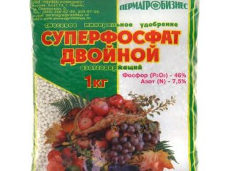 Double superphosphate: use in the garden, composition