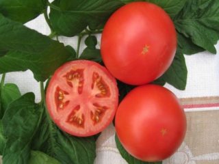 Tomato Anyuta F1: characteristics and description of the variety