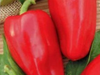 Pepper Poljot: vlastnosti a opis odrody