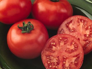 Tomato Krasnobay: characteristics and description of the variety
