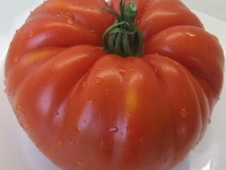 Tomate Spetsnaz: características y descripción de la variedad.