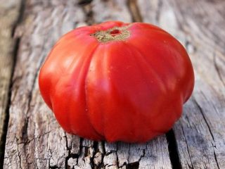 Tomato Siberian Trump: popis, fotografie, recenzie