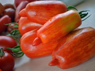 Tomato Sparks of Flame: charakteristika a opis odrody