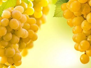 Uvas rkatsiteli