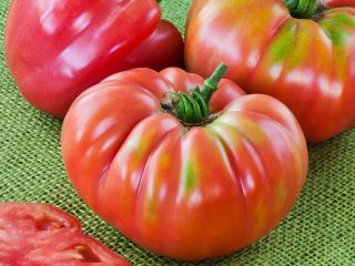 Tomato Zimarevsky gigant: recenzie, fotografie, výnos