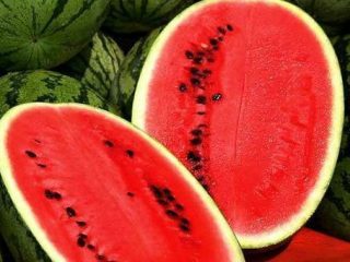 Vodný melón Crimson Ruby, Wonder