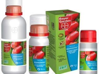 Fungicide Consento