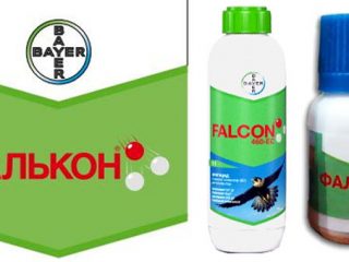 Fungicide Falcon