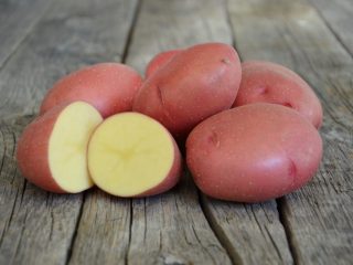 Potato Rodrigo