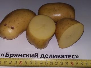 Potatoes Bryansk delicacy
