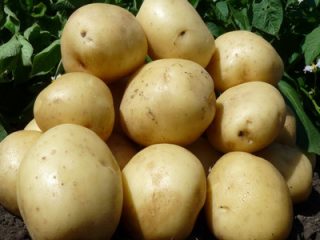 Arizona Potatoes