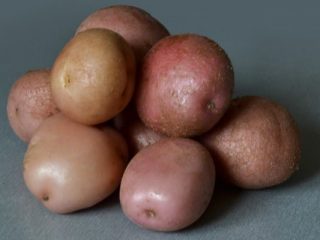 Romano potatoes
