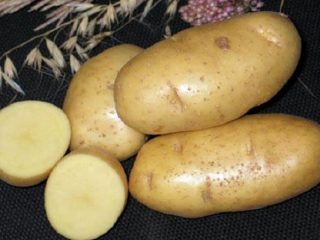 Zemiakový čarodejník