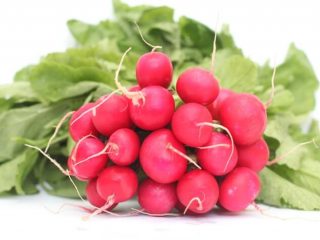 Radish Sora
