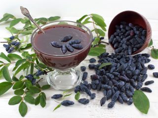 16 recetas de mermelada de madreselva