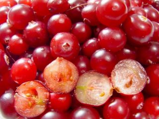 Cranberry for blood pressure: increases or decreases, how to take