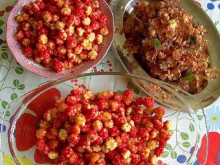 كومبوت Cloudberry لفصل الشتاء