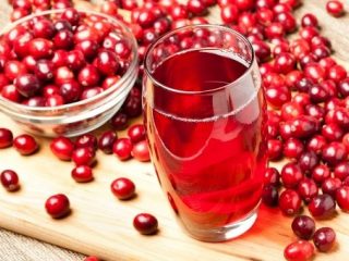 Jugo de arándano para la lactancia