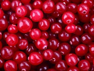 Cranberries at temperature