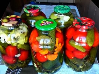 Pickling assorted cucumbers and tomatoes