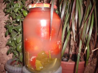 Tomates salados con mostaza