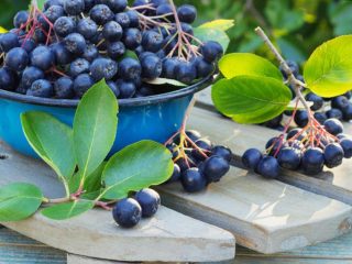 مربى Chokeberry مع الليمون: 6 وصفات