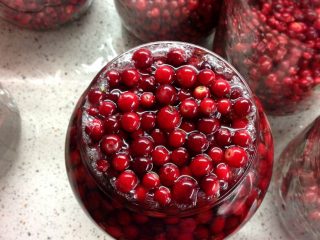 كومبوت Lingonberry لفصل الشتاء
