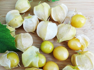 Physalis pineapple: cultivation and care, photo
