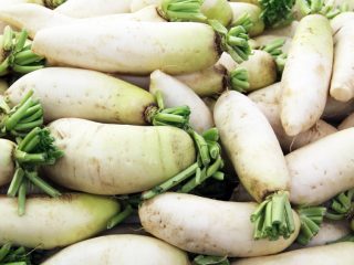 Kedy kopať a ako uchovávať daikon