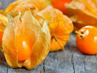 The benefits of Physalis edible