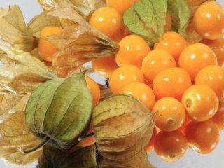 Physalis: zdravotné prínosy a škody