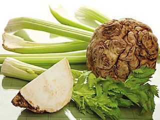 Root celery: recipes, benefits