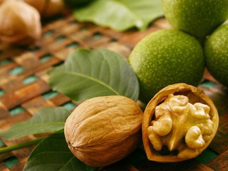 تطبيق قشور الجوز والقشور