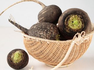 Black radish: beneficial properties and contraindications