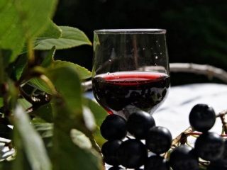 ليكيور Chokeberry مع أوراق الكرز