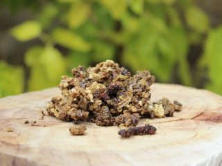 Shelf life of propolis