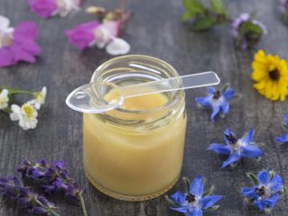 العسل مع غذاء ملكات النحل: خصائص مفيدة